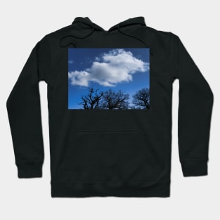 Blue Skies With Clouds And Winter Trees Without Leaves Hoodie